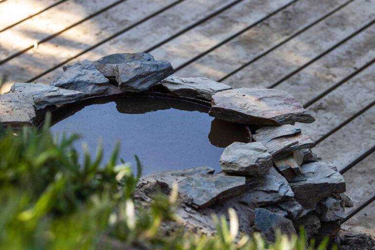 Tranquil nature retreat